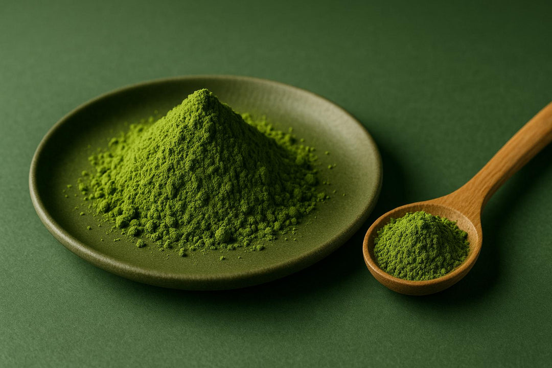 Matcha vs Yerba Mate: Zielona Energia dla Gen-Z