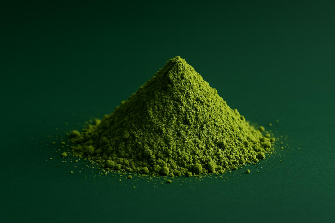 Matcha vs Yerba Mate: Co Wybrać?